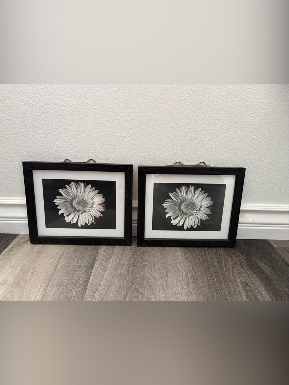 Black Double Floral 8”x10” Wall Frame Set